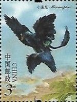 Microraptor