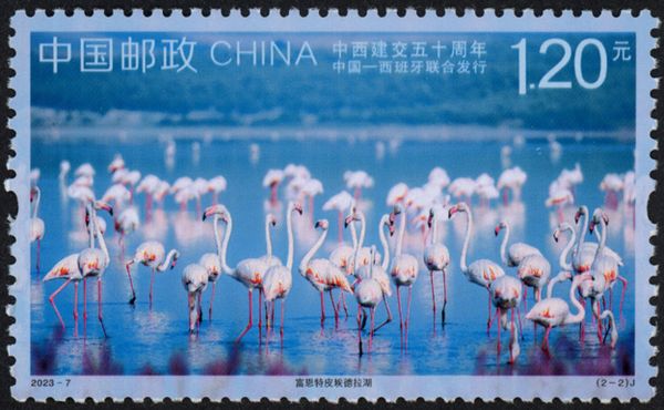 Flamingoes in Fuente de Piedra Lagoon, Spain