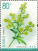 Sweet Wormwood (Artemisia annua)