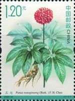 Ginseng (Panax notoginseng)