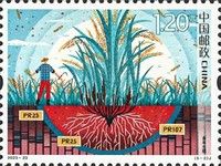Perrenial Rice Plants