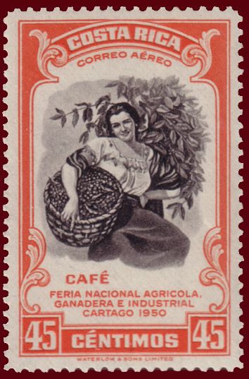 Coffee Picker