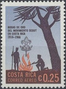 Campfire Under Palm Tree