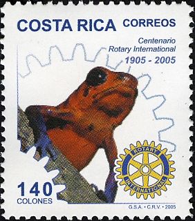 Emblem and Strawberry Poison Frog (Oophaga pumilio)