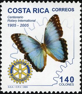 Emblem and Blue Morpho (Morpho menelaus)