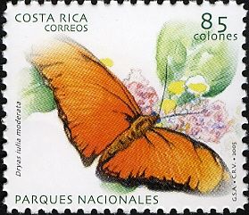 Julia Butterfly (Dryas iulia moderata)