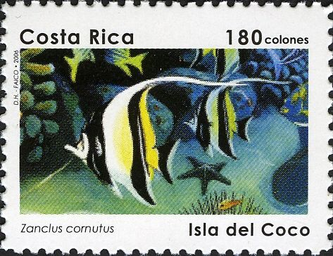 Moorish Idol (Zanclus cornutus)