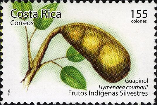 Hymenaea courbaril
