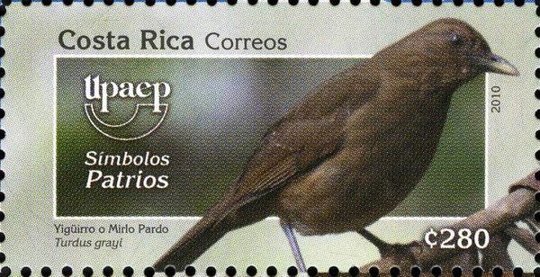Clay-colored Trush (Turdus grayi)