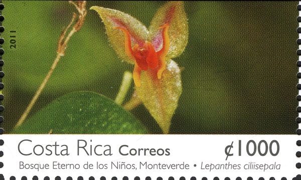 Lepanthes ciliisepala