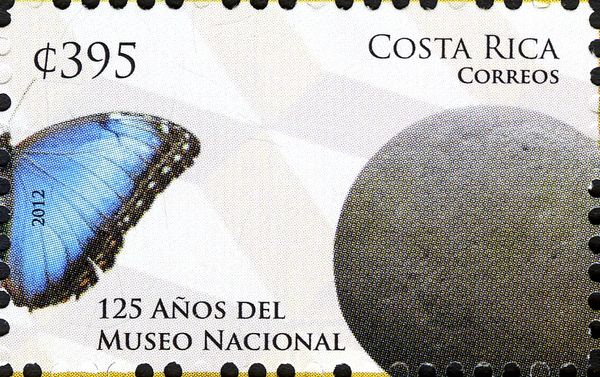 Morpho peleides, Stone Sphere