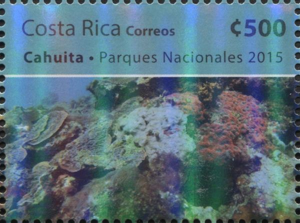 Rif Corals