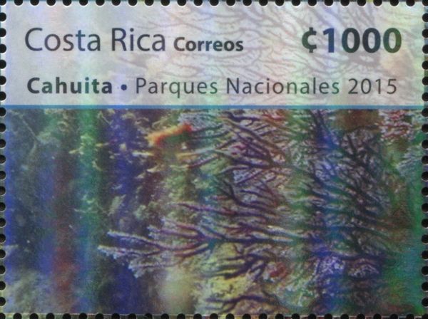 Corals, Fish
