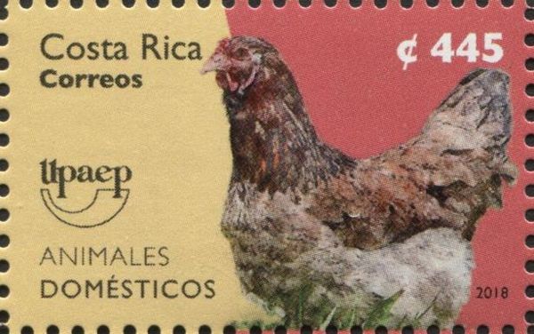 Rooster