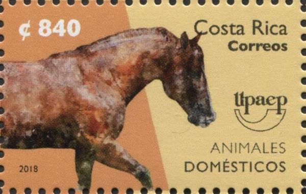 UPAEP - Horse