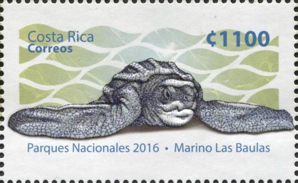 Leatherback Sea-Turtle (Dermochelys coriacea)