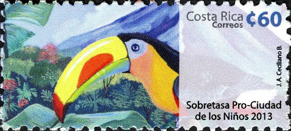 Keel-billed Toucan (Ramphastos sulfuratus) 