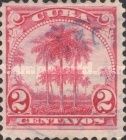 Coconut Palms