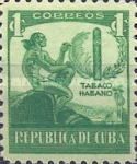 Amerindian, Cigar, tobacco leaf