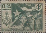 Country's Flag and Scouts Saluting