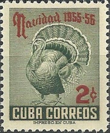 Domesticated Turkey (Meleagris gallopavo)