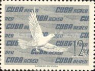 Plain Pigeon (Patagioenas inornata)