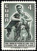 Boy with Domestic Cat (Felis silvestris catus) and Dogs (Can