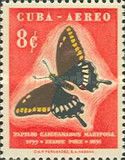 Poey's Black Swallowtail (Papilio caiguanabus)