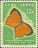 Tailed Orange (Eurema gundlachia)