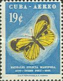 Dwarf Yellow (Nathalis iole)