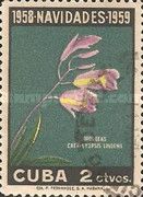 Cattleyopsis lindenii