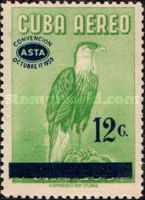 Crested Caracara (Caracara plancus)
