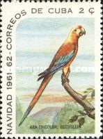 Cuban Macaw (Ara tricolor)