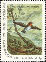 Bee Hummingbird (Mellisuga helenae)