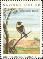 Melodious Grassquit (Tiaris canora)