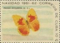 Red-splashed Sulphur (Phoebis avellaneda)
