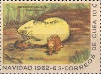 Desmarest's Hutia (Capromys pilorides)