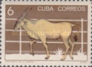 Common Eland (Taurotragus oryx)