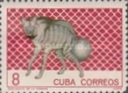 Striped Hyaena (Hyaena hyaena)