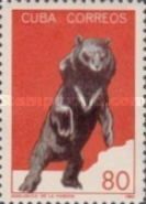 Asian Black Bear (Selenarctos tibetanus)