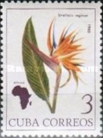 Strelitzia reginae