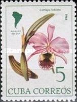 Cattleya labiata