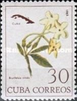 Brunfelsia nitida