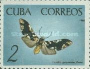 Moth (Carathis gorthynoides)