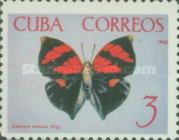 Scarlet Leafwing (Siderone nemesis)