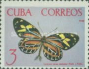 Moth (Lycorea ceres demeter)