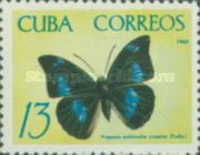 Butterfly (Prepona antimache)