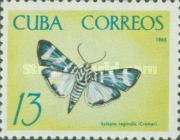 Moth (Sylepta reginalis)
