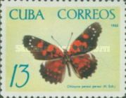 Butterfly (Chlosyne perezi perezi)