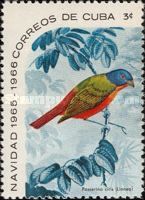 Painted Bunting (Passerina ciris)